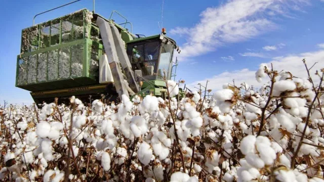 Santiago del Estero es la sexta provincia exportadora con superávit en la balanza comercial en dólares