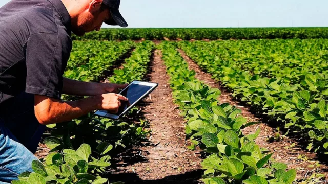 Ganancia versus sustentabilidad: ¿una excluye a la otra?