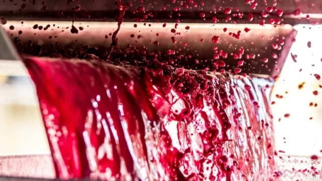 Mosto y vino, economías regionales que crecen en el mundo y se estacan en Argentina