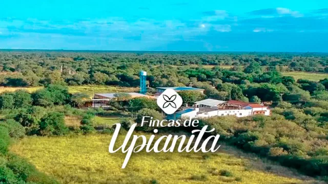 Inversión inteligente: Fincas de Upianita ofrece lotes en 84 cuotas fijas (sin actualización)