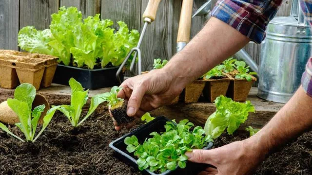 Todo listo para una nueva edición de la feria de Productores en Huerta Demostrativa en el INTA