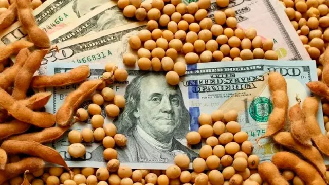 Agricultura otorga prórroga de 90 días para realizar embarques a adherentes al dólar soja