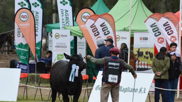 Comenzó la XIV edición de la ExpoBra 2022 (con lo más destacado de la ganadería provincial)