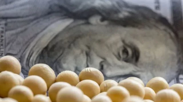 Dólar soja: establecen "pautas operativas" para la liquidación y registro de declaraciones juradas