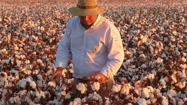Innovación y tradición algodonera de la mano de Gensus SA en la Fiesta Nacional del Algodón
