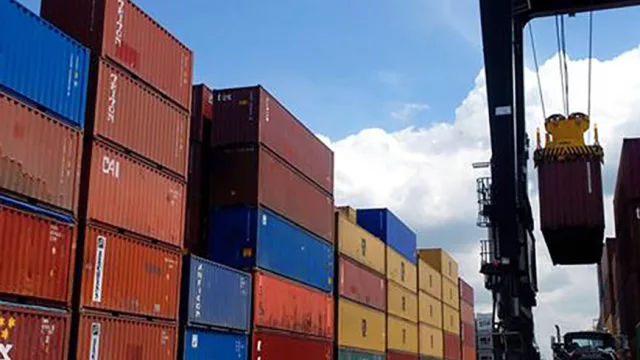 Debutó el "Radar" de Aduana y detectó subfacturación del 80% en una exportación peculiar