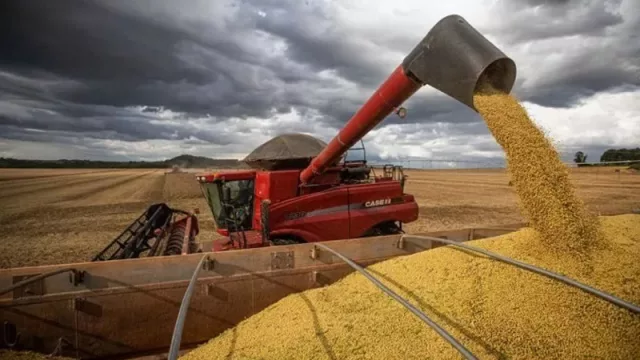 Incrementan precios de referencia de la harina en el marco del fideicomiso del trigo