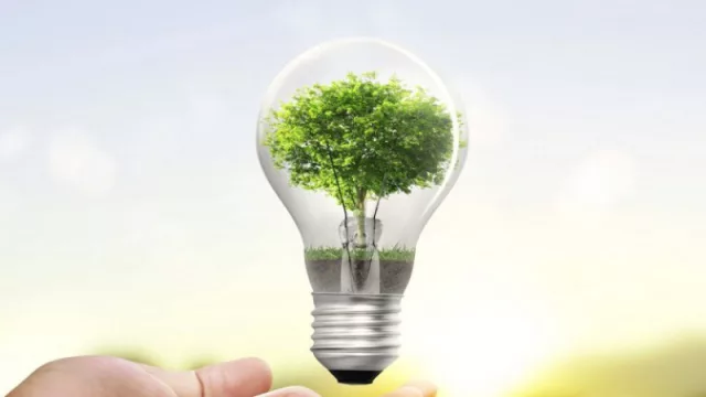 Día Mundial del Ahorro de Energía: ¿Cómo alinear el avance tecnológico con el cuidado ambiental?