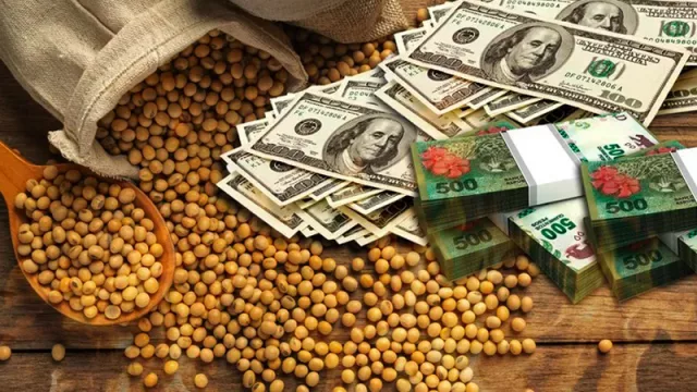 Comenzó a regir el nuevo dólar soja con que el Gobierno espera que el agro liquide US$ 3.000 millones