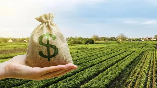 El precio de la soja llegó a pagarse $ 100.000 la tonelada