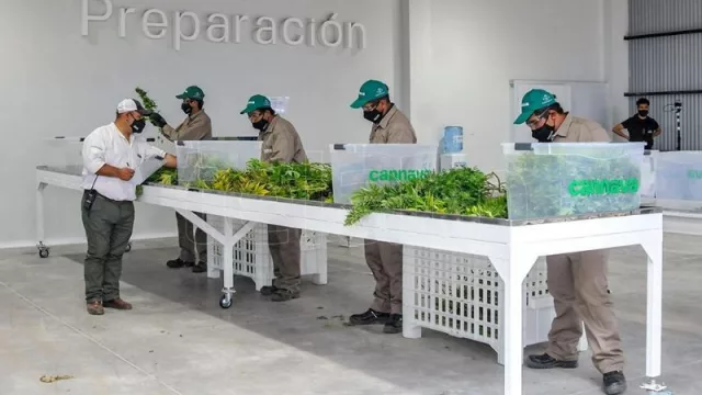 Jujuy acordó con Buenos Aires promover el desarrollo turístico y el cannabis medicinal
