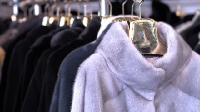 Inflación textil: un tapado ya vale lo mismo que el alquiler de un departamento de dos ambientes