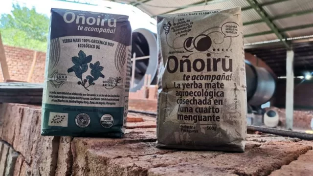 Yerba orgánica para el mundo: Oñoirῦ exporta 40% de su producción (quiere alcanzar 500.000 kg/año)