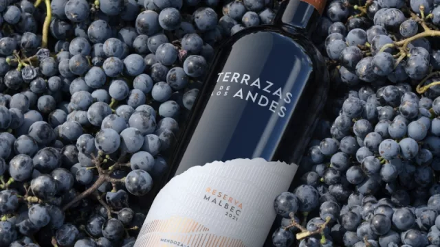 Terrazas de los Andes presenta su nueva identidad de marca