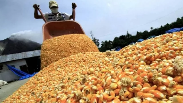 Santiago cerró el 2022 como primera provincia exportadora del NOA y novena en el país