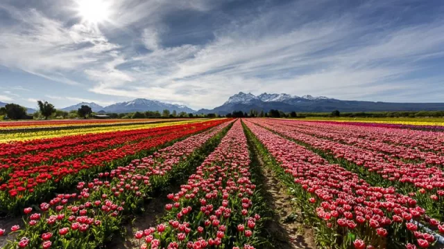 Trevelín reconocido como uno de los mejores pueblos turísticos del mundo