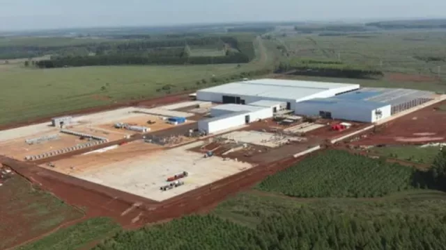 El aserradero más moderno de América Latina se construye en Corrientes (la planta será inaugurada a fines de este año)