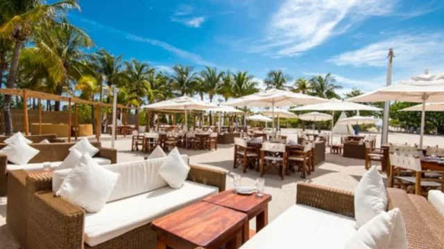 South Beach: Nikki Beach en peligro (la famosa atracción está en medio de una disputa legal)