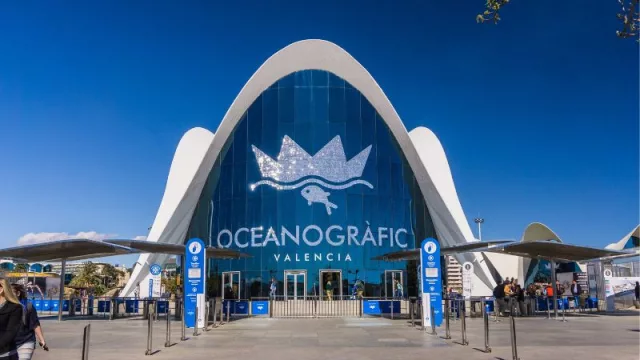 El Oceanogràfic de la Ciutat de les Arts i les Ciències organiza el festival ‘OceanFest’ para promover la cultura marina y el turismo sostenible