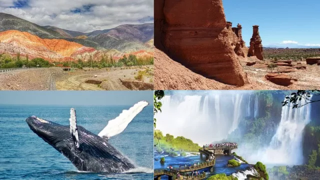 Vamos de paseo, pi pi pi: te contamos las 5 opciones elegidas por los argentinos para vacacionar (desde Cataratas a la Península)