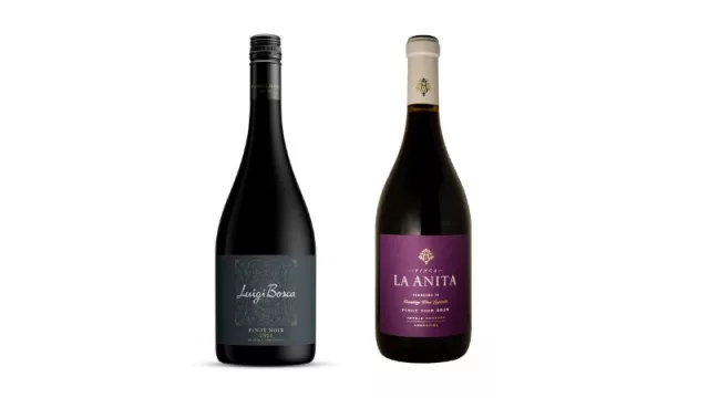 De Francia al mundo: Pinot Noir, una variedad que seduce por su elegancia, frescura y delicadez