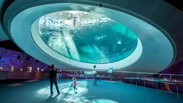 El Óculo del Frost Museum of Science: la nueva sensación de Miami en redes sociales