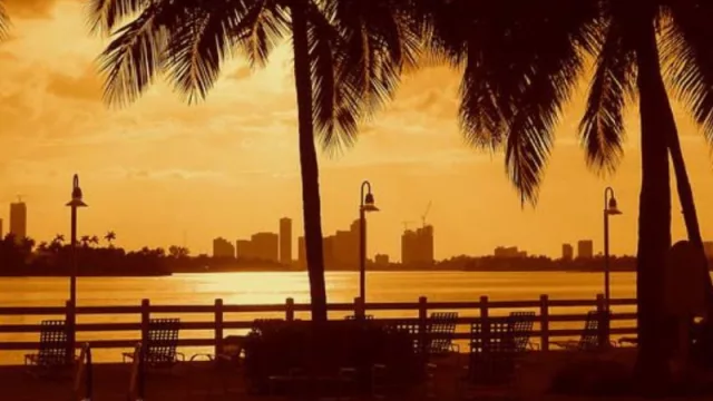 Miami en otoño: ¿Por qué en esta estación tiene tantas ventajas visitarla y disfrutarla?
