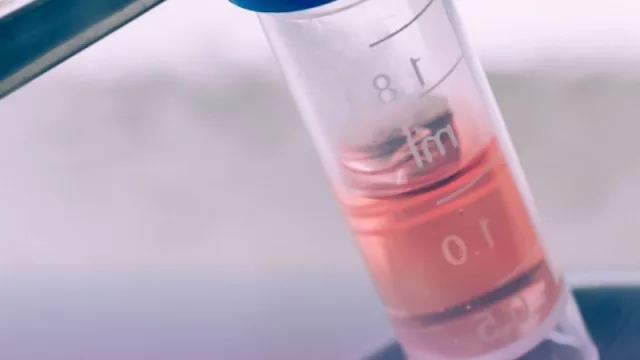 El auge de la maternidad postergada: el paso a paso del congelamiento de óvulos (cómo hacerlo con Maternity Bank, y cuál es su costo)