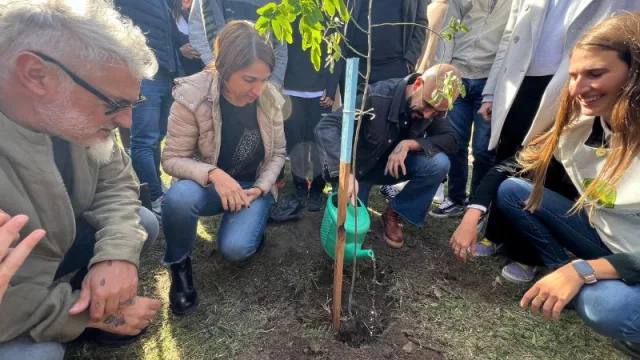 John Deere va a plantar 1 millón de árboles antes de 2030 (100 de esos ya están en el Kempes): cómo siguen los planes y las inversiones en Argentina