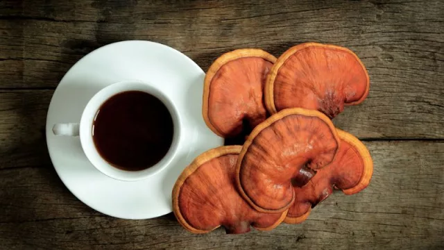 De qué hablamos cuando hablamos de hongos (su uso en terapias alternativas y lo que la industria no quiere que sepas)