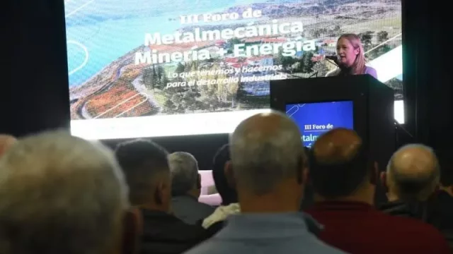 Expectativas de los empresarios mendocinos por inversiones en minería