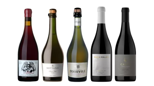 5 vinos increíbles  para celebrar el Día Mundial del Pinot Noir