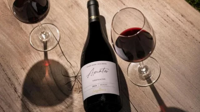 ¿Elegancia y versatilidad? Luigi Bosca presenta Apuntes Grenache