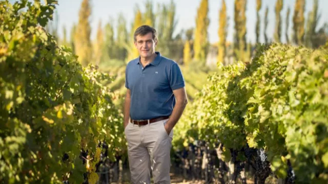 Pablo Cúneo fue elegido “enólogo del año” por la Guía Descorchados