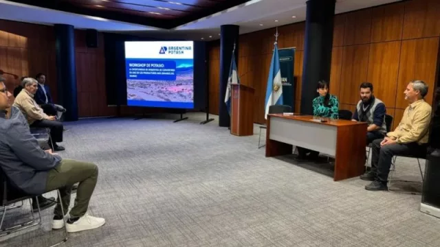 Neuquén se posiciona como polo estratégico para el desarrollo del potasio