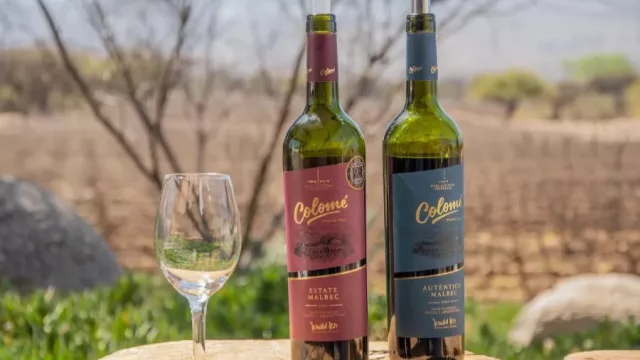 La bodega Colomé fue elegida como la Mejor Propuesta de Enoturismo del país (lo llora Mendoza)