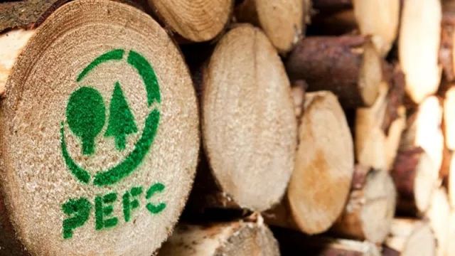 PEFC se alinea con la RED III: un impulso global hacia la bioenergía forestal sostenible