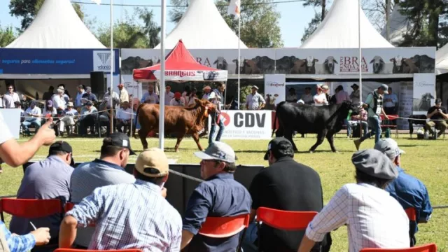 Santiago Productivo: una vidriera del crecimiento agroindustrial y emprendedor en el corazón santiagueño