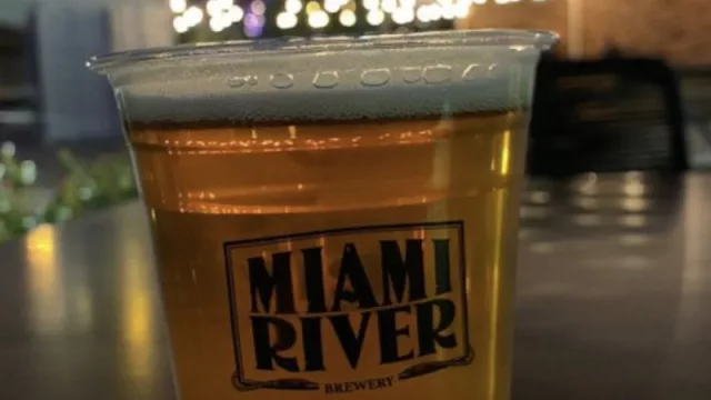 Día Internacional de la Cerveza (desde USA): celebrando la tradición, la cultura y la economía del brebaje universal