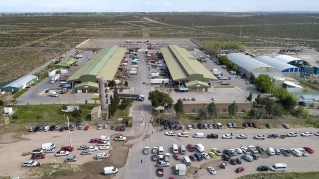 Neuquén impulsa el Parque Agroalimentario como motor de desarrollo regional