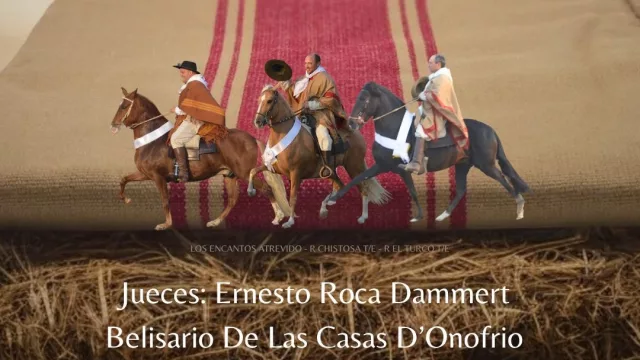 Tucumán será sede del 35° Concurso de Caballos Peruanos de Paso (con fuerte impacto económico para la provincia)