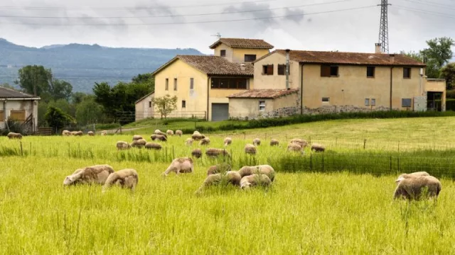 La España rural se presenta como una alternativa para la emancipación: un 21% de compradores e inquilinos jóvenes se va a trasladar a vivir al campo