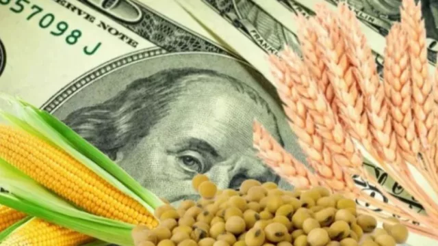 Santiago del Estero cierra 2025 con récord exportador (y se ubica entre las 10 provincias líderes del país)