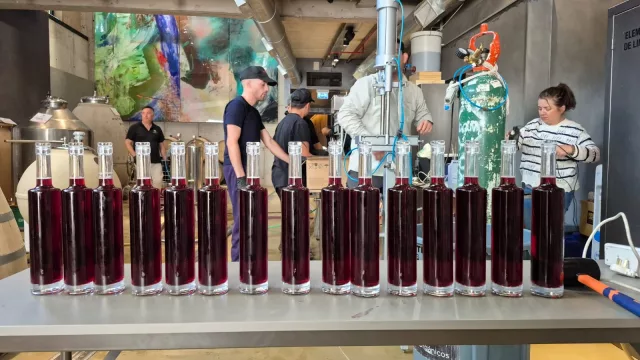 Huentala Wines avanza con el fraccionamiento de vinos en su bodega urbana