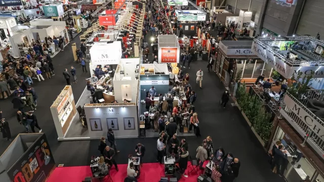 Nueve bodegas salteñas dirán presente en Wine Paris (récord histórico para la provincia)