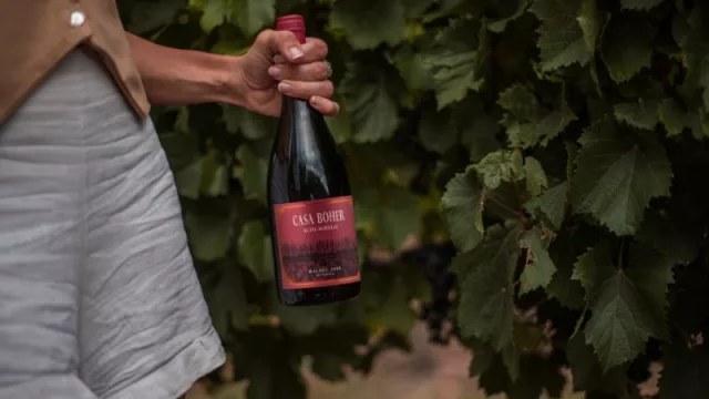 Vendimia VIP en Rosell Boher Lodge: cosechá en Alto Agrelo, recorré la bodega por dentro y cerrá con menú de cuatro pasos