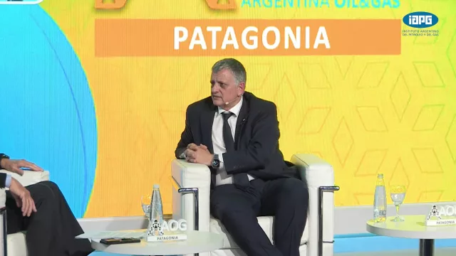 Horacio Marín: “Mi idea es que Vaca Muerta llegue a producir dos millones de barriles”